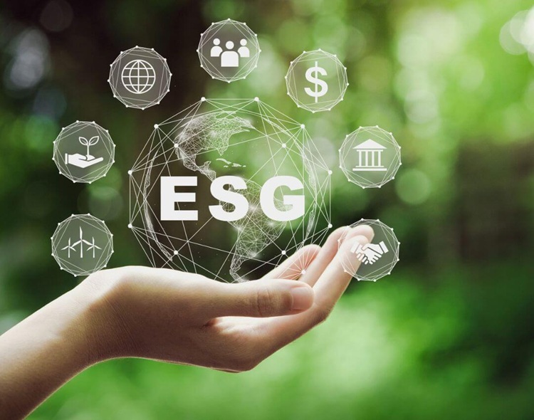 green travel options for business travellers